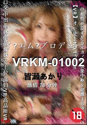VRKM-0100278 