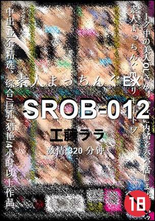 SROB-012320 