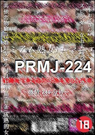 PRMJ-224240 