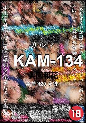 KAM-134120 