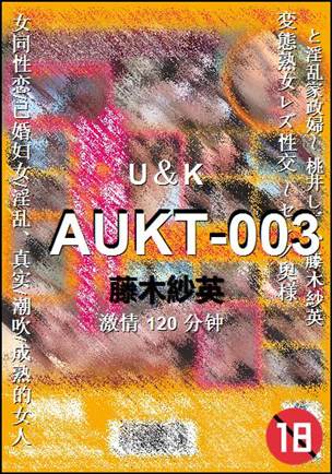 AUKT-003120 