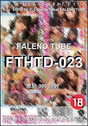 FTHTD-023300 