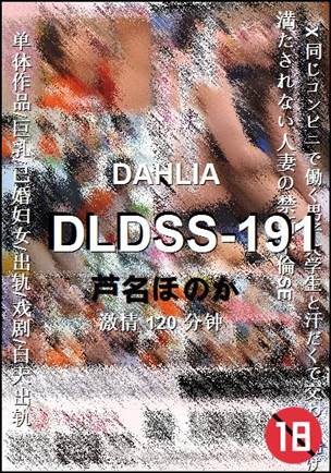 DLDSS-191120 