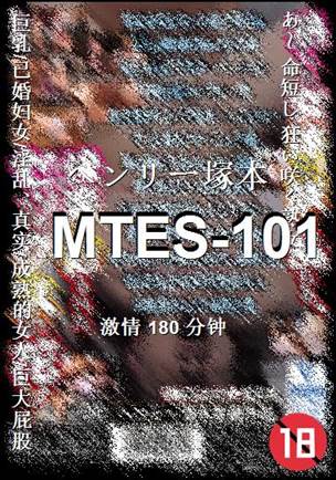 MTES-101180 