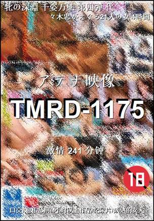 TMRD-1175241 
