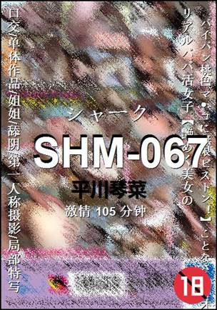 SHM-067105 