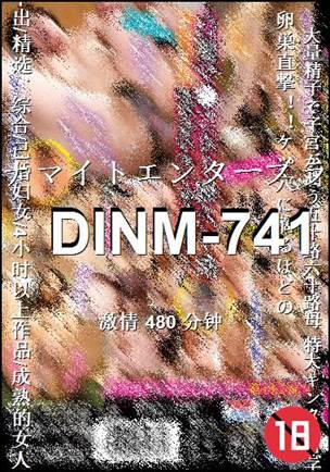 DINM-741480 
