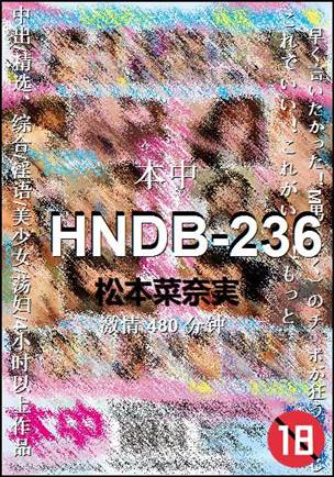 HNDB-236480 