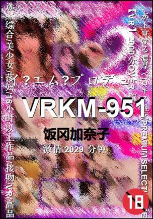 VRKM-9512029 