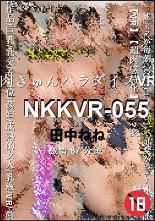 NKKVR-05587 