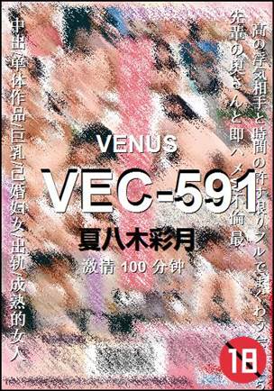 VEC-591100 