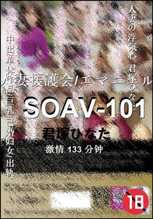 SOAV-101133 