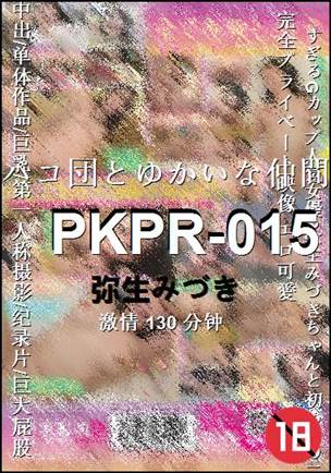 PKPR-015130 