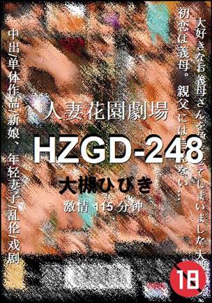 HZGD-248115 