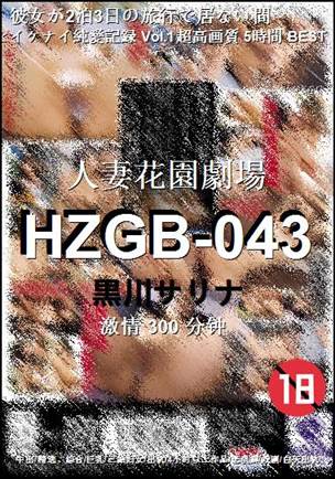 HZGB-043300 