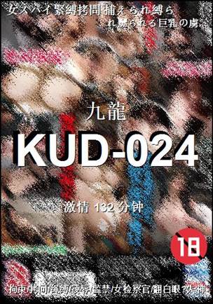 KUD-024132 