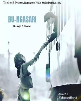 ������ľ������17��