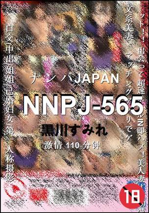 NNPJ-565110 ����