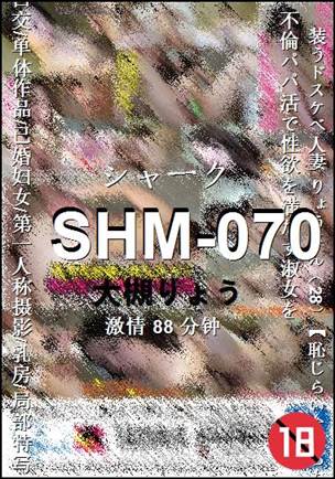 SHM-07088 
