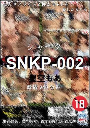 SNKP-002240 