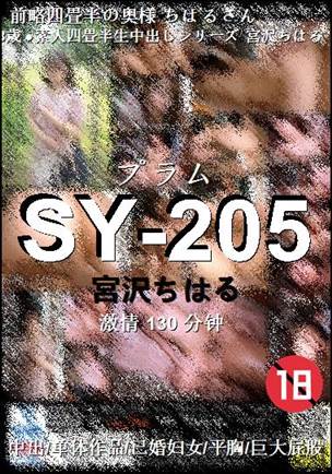 SY-205130 