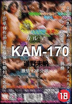 KAM-170120 