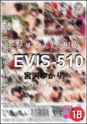 EVIS-510114 