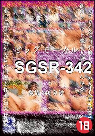 SGSR-342240 