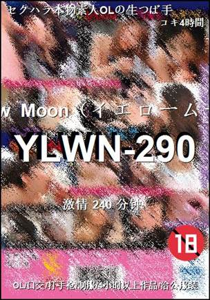 YLWN-290240 