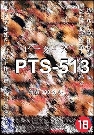 PTS-513300 
