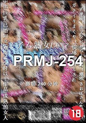 PRMJ-254240 