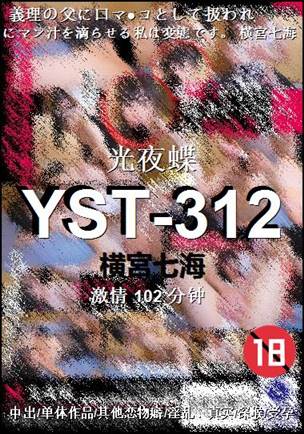 YST-312102 