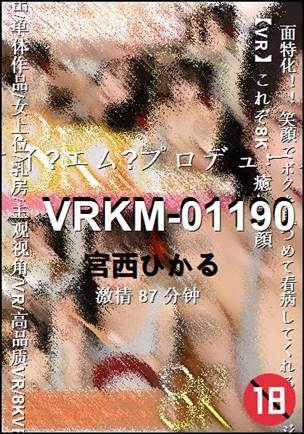 VRKM-0119087 