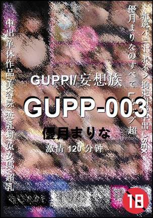 GUPP-003120 