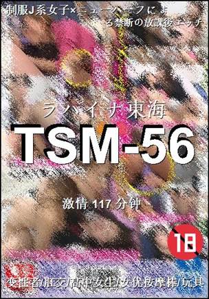 TSM-56117 