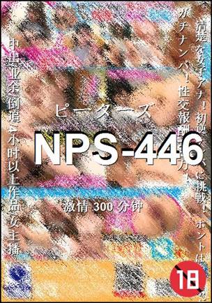 NPS-446300 ����