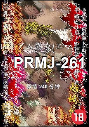 PRMJ-261240 