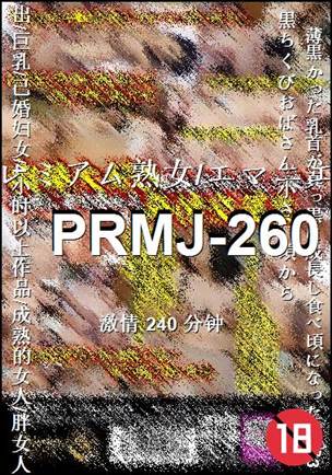 PRMJ-260240 