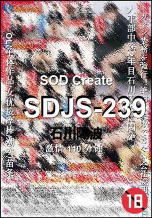 SDJS-239110 