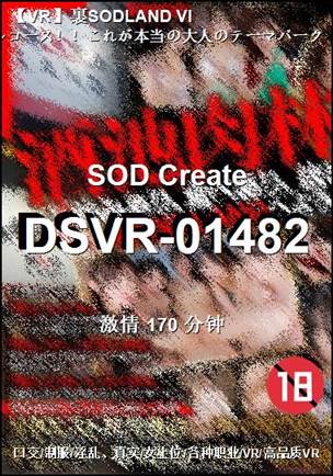 DSVR-01482170 ����