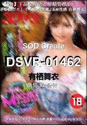DSVR-0146282 ����