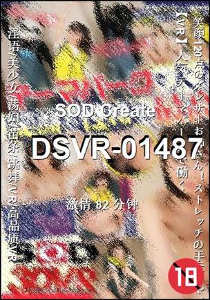 DSVR-0148782 ����