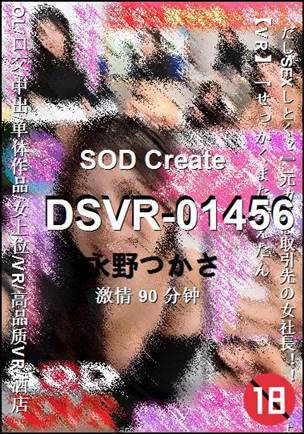 DSVR-0145690 ����