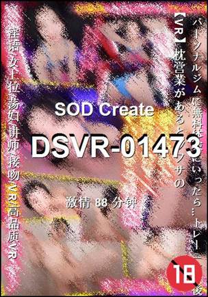 DSVR-0147388 ����
