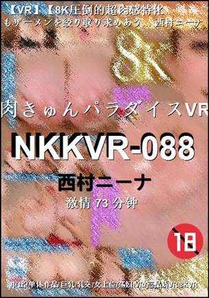 NKKVR-08873 ����