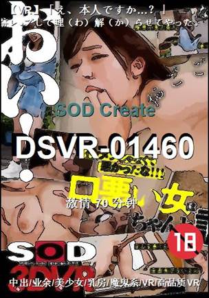 DSVR-0146070 ����