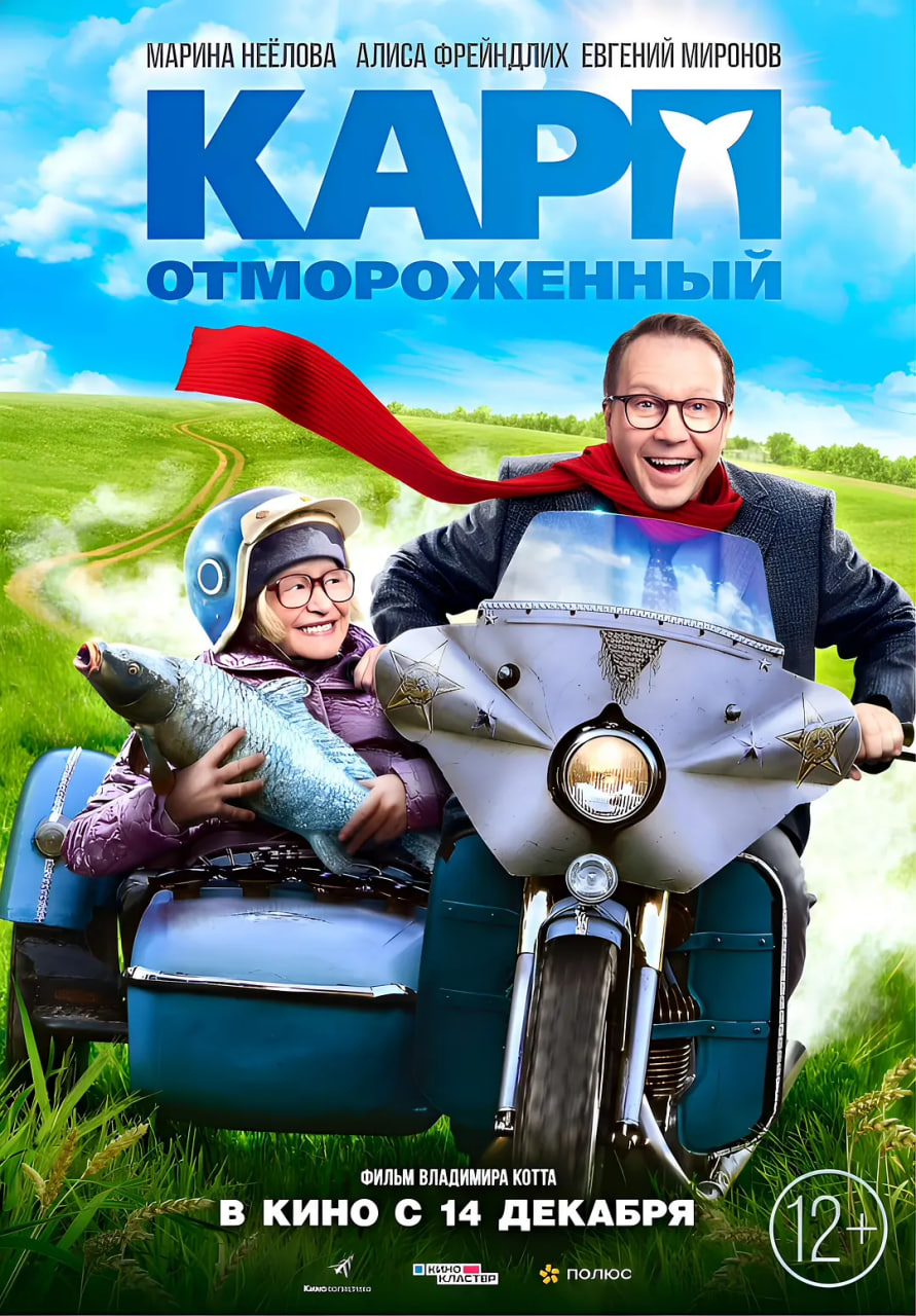 ���˵�������Ƭ