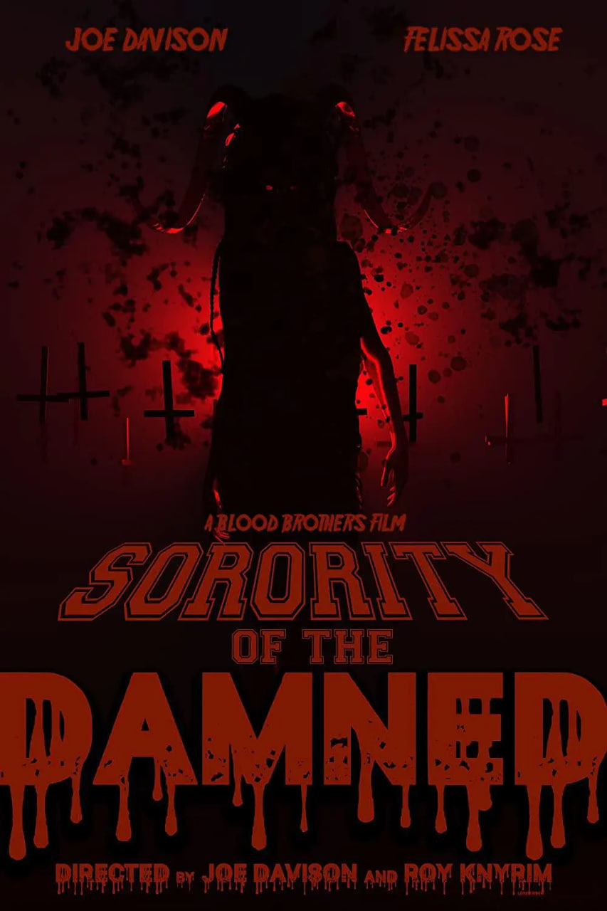 �������û���Ƭ