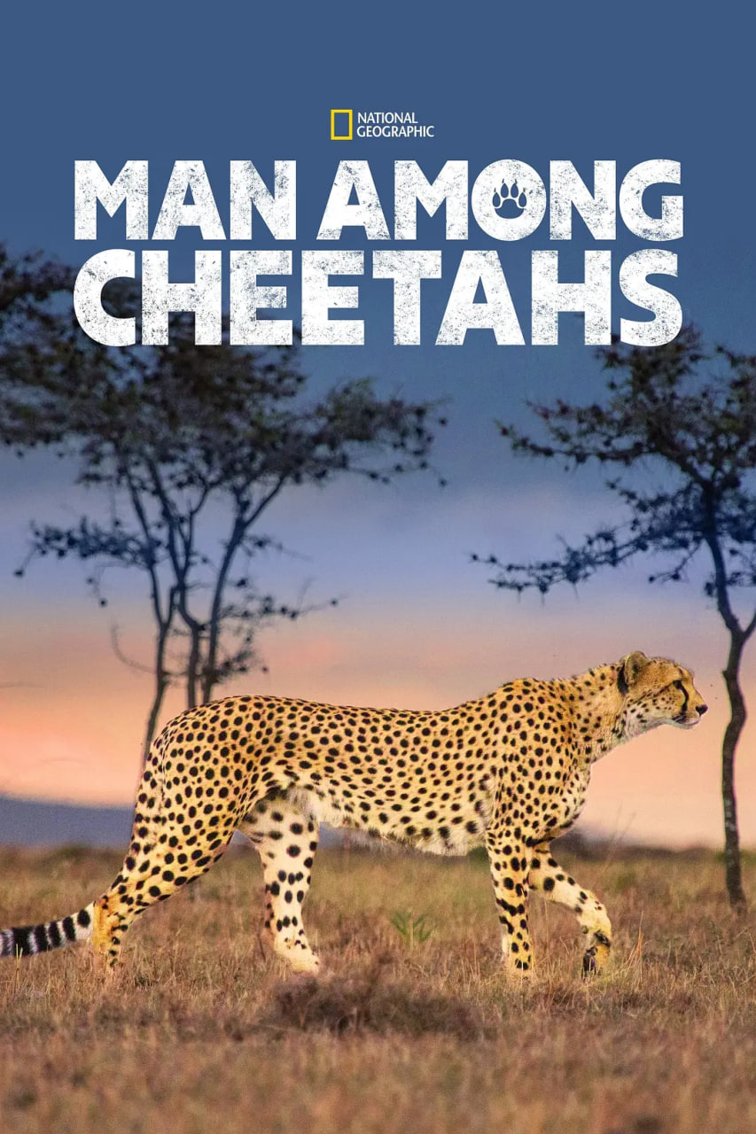 ΪĸǿƬ