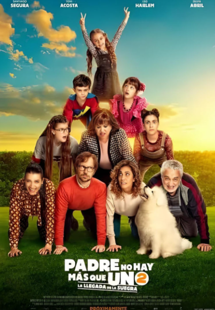 ����ֻ��һ��2��Ƭ